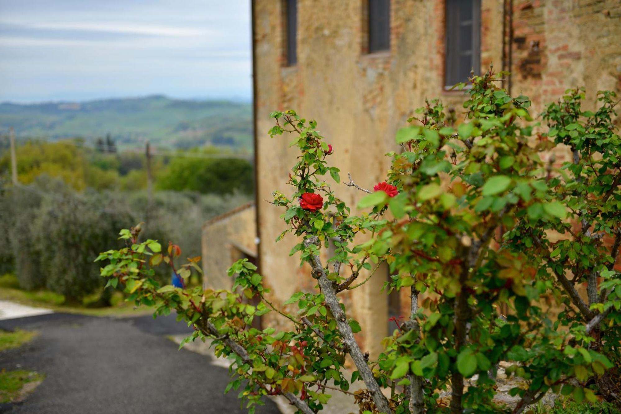 Ferienwohnung Casa Zeno Volterra Exterior foto